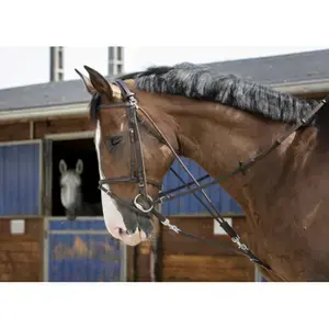 Riding World Gogue Begränsad tid